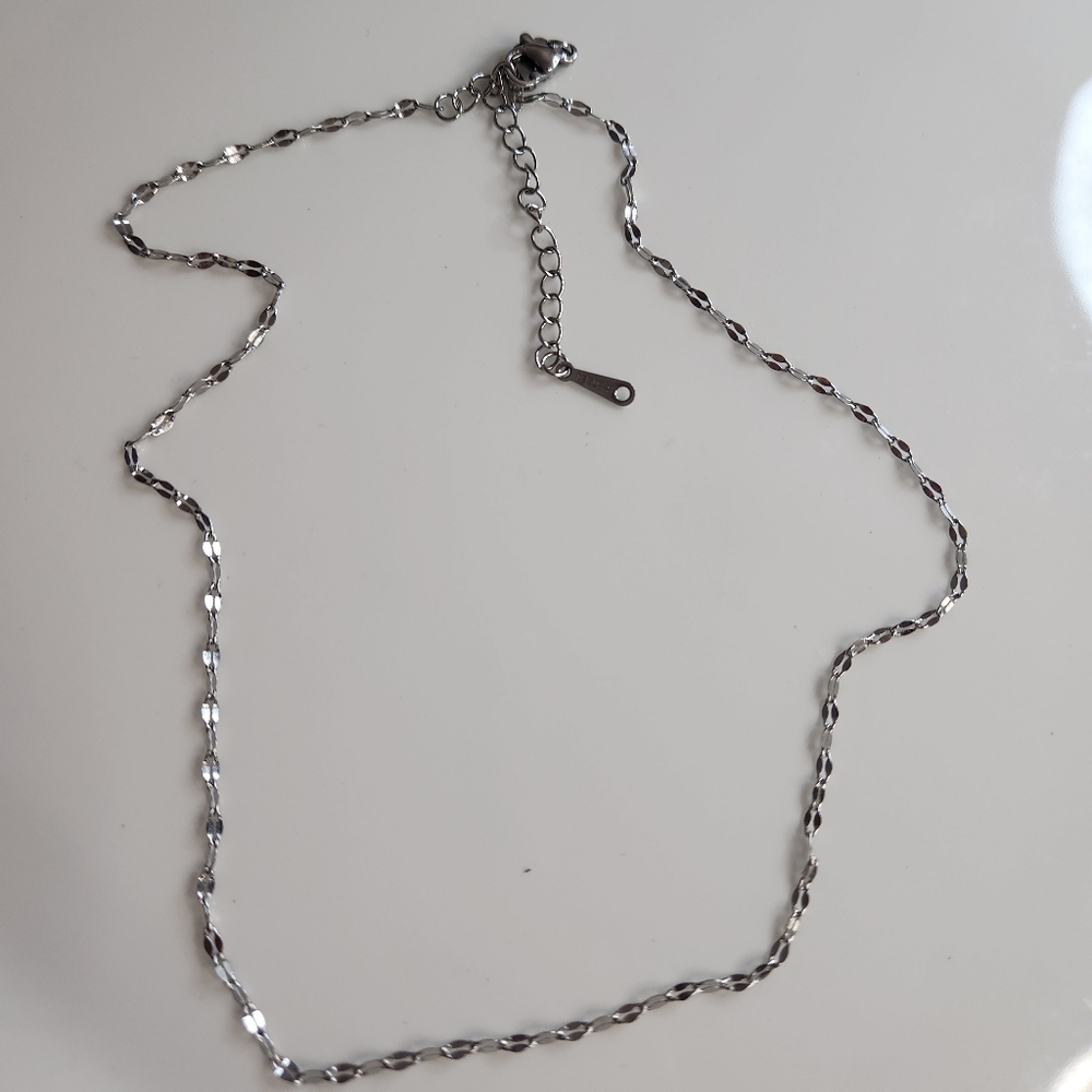 Stainless Steel silver ⛓️ Simple Fashion Clavicle Chain